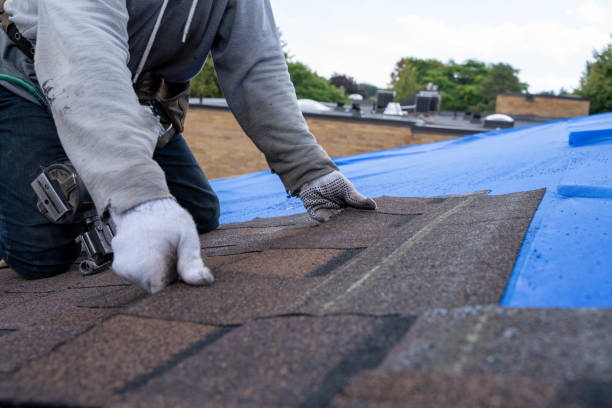 Best Roof Leak Repair  in Broadway, VA