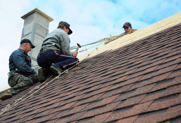 Best Shingle Roofing Installation  in Broadway, VA